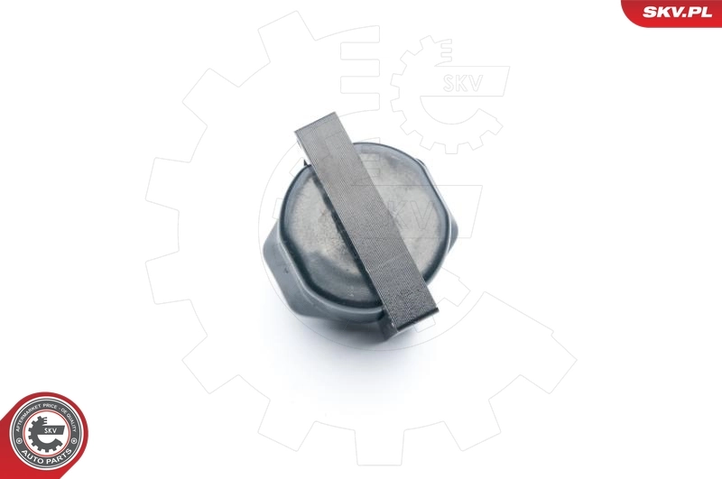Купить 03SKV253 SKV Катушка зажигания