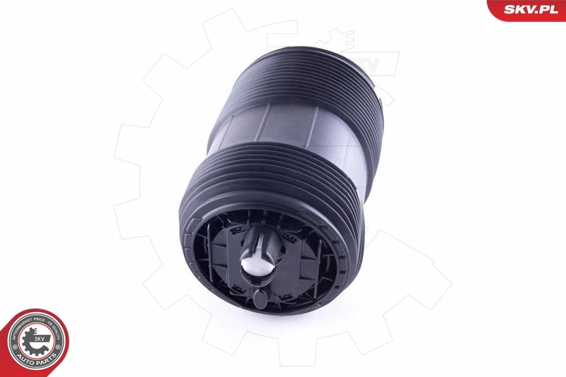 58SKV033 SKV Пневморессора задняя