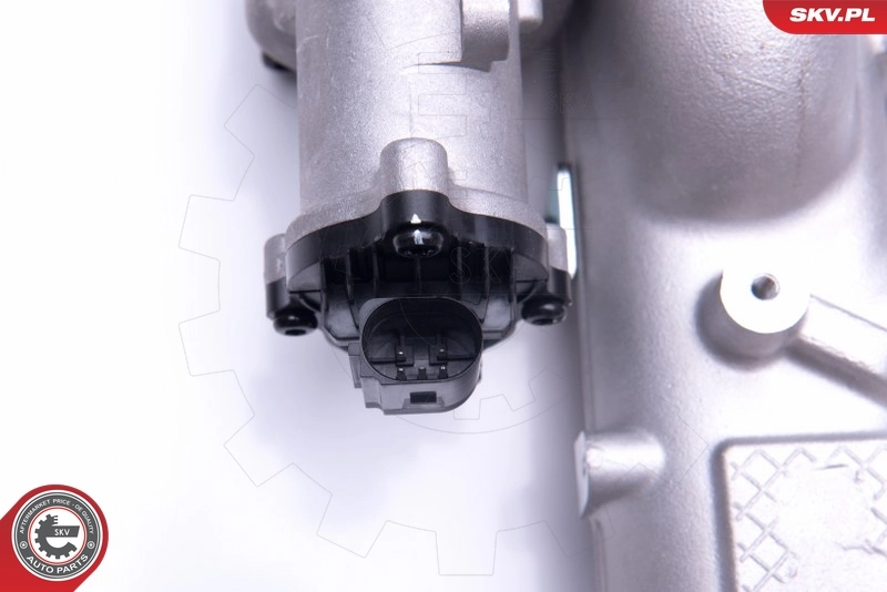Клапан EGR, рециркуляции газов SKV 14SKV156