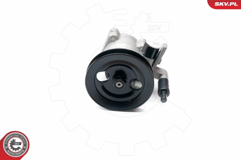 Насос ГУР 10SKV204 SKV
