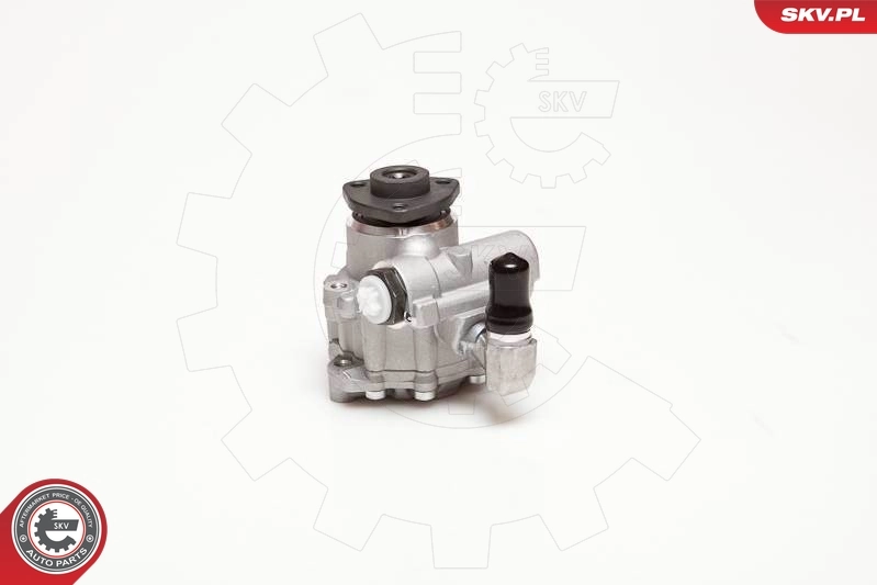 Насос гидроусилителя руля SKV 10SKV124
