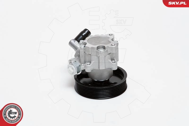 Насос гидроусилителя руля SKV 10SKV024