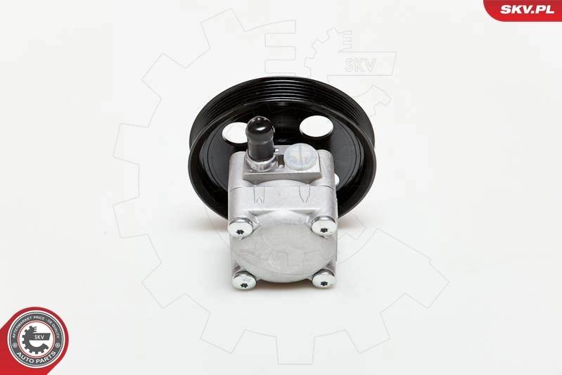 Насос гидравлики SKV 10SKV177 цена, от 91.81 USD