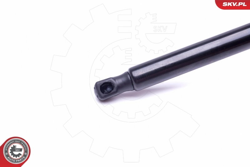 Amortecedor de tampa de porta-malas (de 3ª/5ª porta traseira) Volkswagen Touran 2 1T3