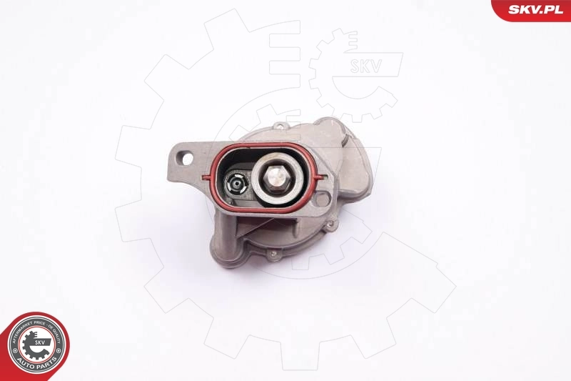 Купить 18SKV013 SKV Вакуумный насос