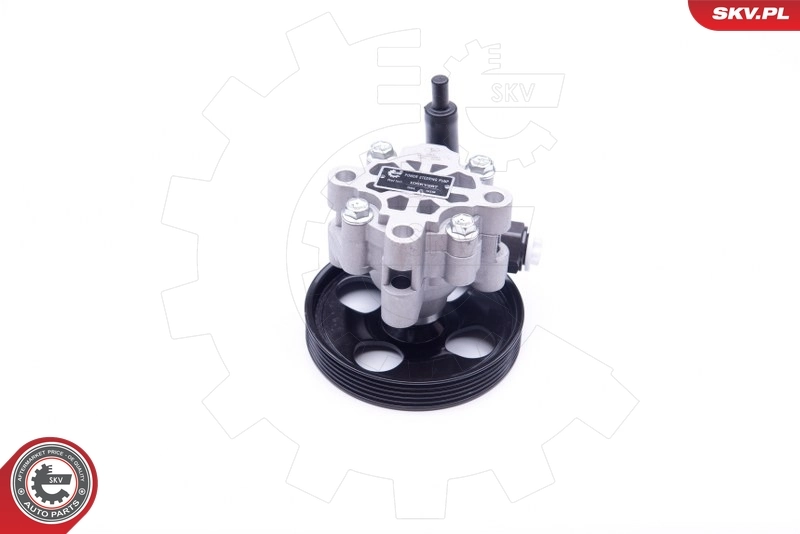 Насос гидравлики SKV 10SKV287 цена, от 110.13 USD