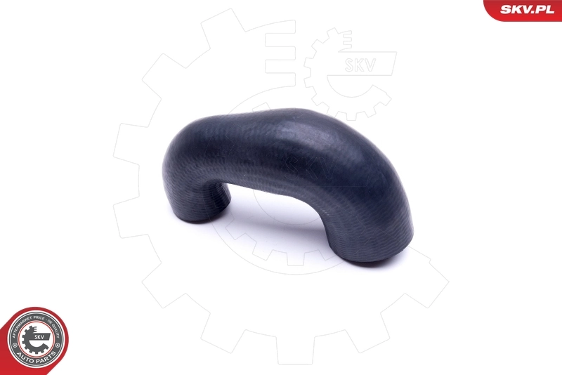  SKV 43SKV186 цена, от 27.88 USD