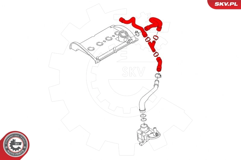 Купить 43SKV617 SKV 