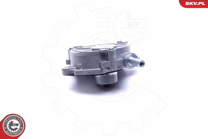 Купить 18SKV023 SKV Вакуумный насос