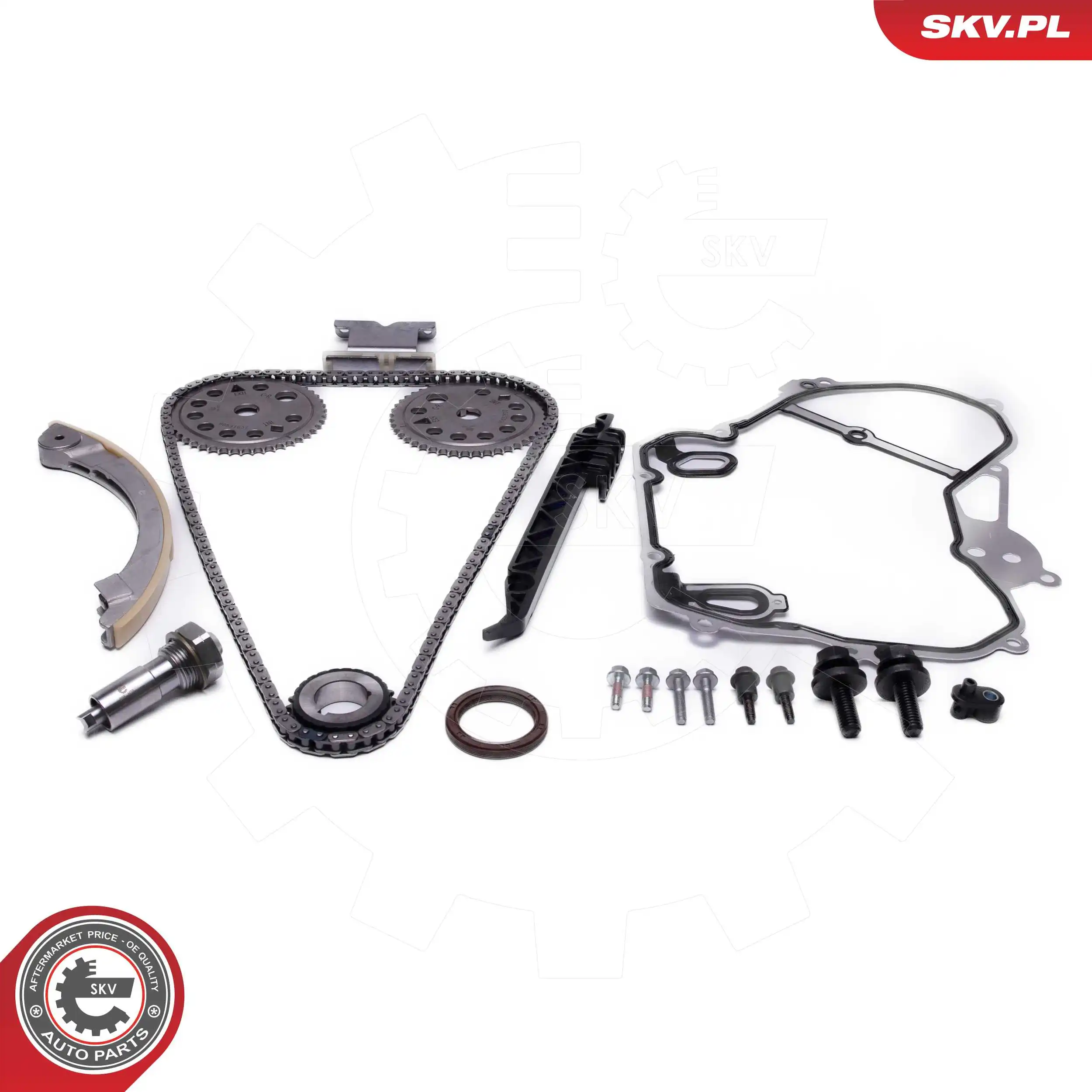 21SKV261 SKV Комплект цепи