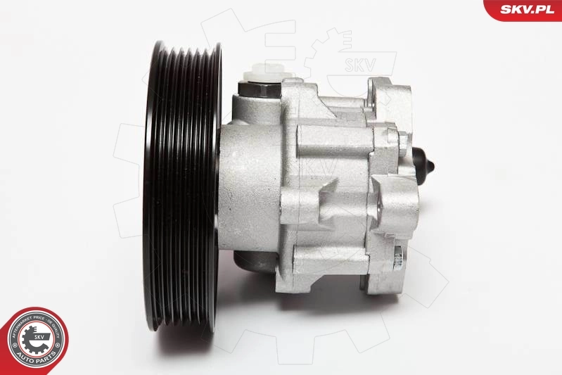 Насос гидроусилителя руля SKV 10SKV063