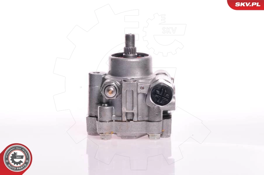 Насос гидравлики SKV 10SKV132 цена, от 44.34 USD