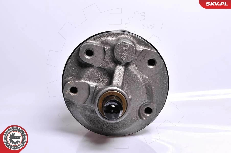 Насос гидравлики SKV 10SKV128 цена, от 138.31 USD