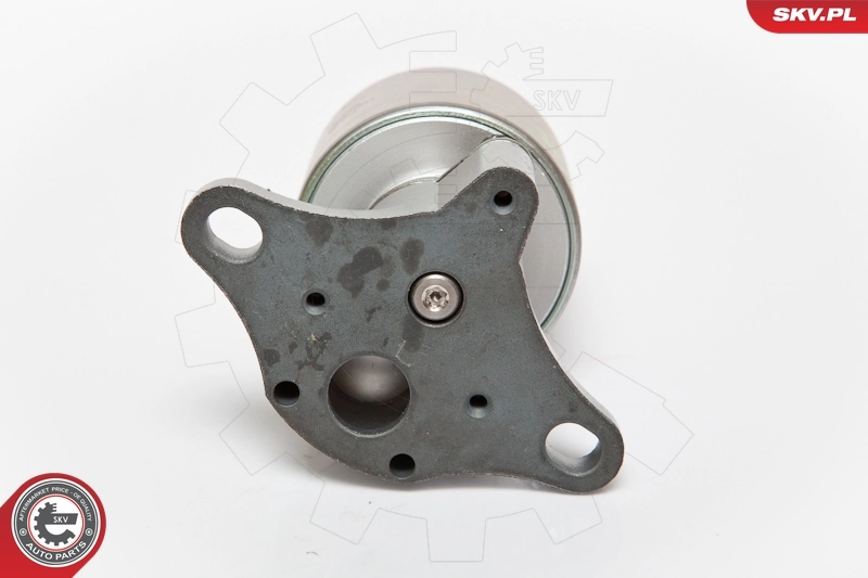 Válvula EGR de recirculação dos gases Fiat Punto 176C