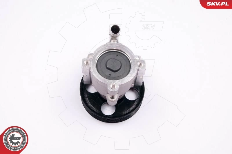 Насос гидравлики SKV 10SKV174 цена, от 81.64 USD