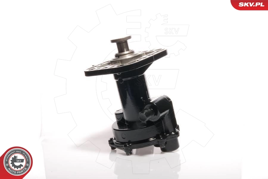 Вакуумный насос SKV 18SKV011 цена, от 117.59 USD