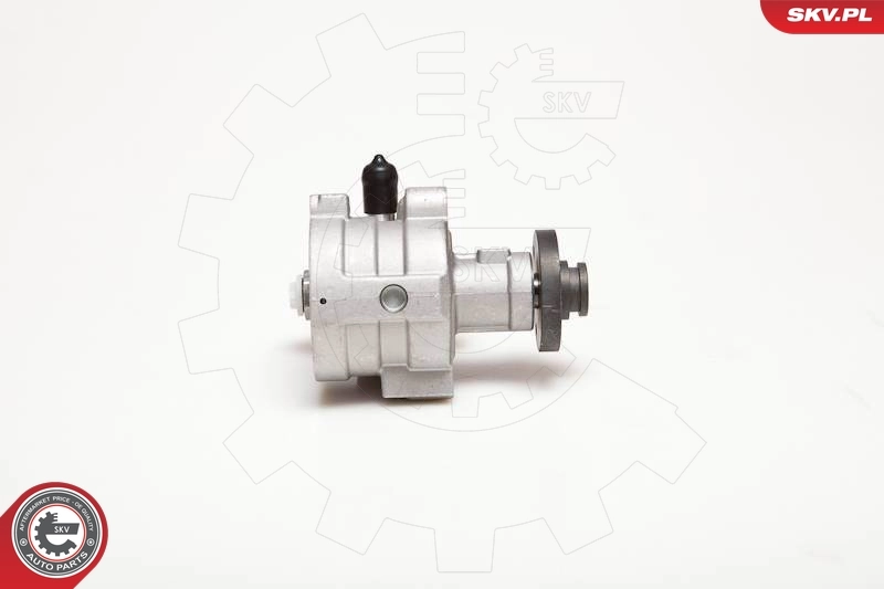 Насос ГУР 10SKV054 SKV