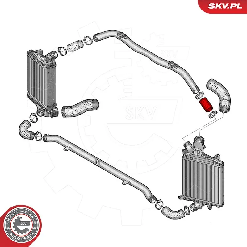 Купить 43SKV488 SKV 