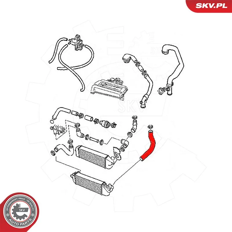Купить 54SKV077 SKV 