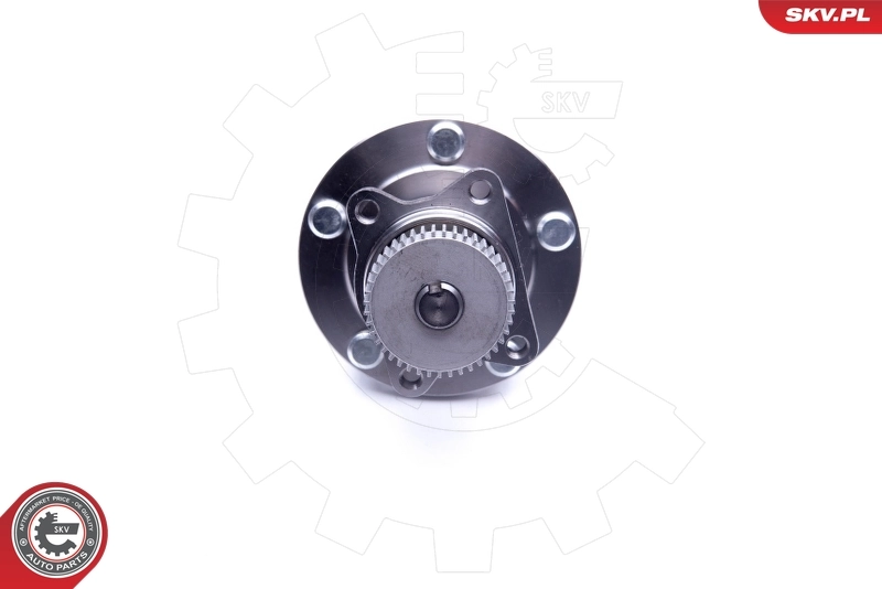 Купить 29SKV232 SKV 
