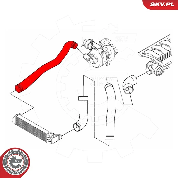 Купить 43SKV480 SKV Патрубок интеркулера