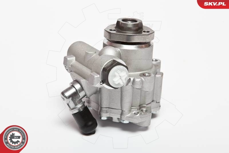 Насос гидроусилителя руля SKV 10SKV018