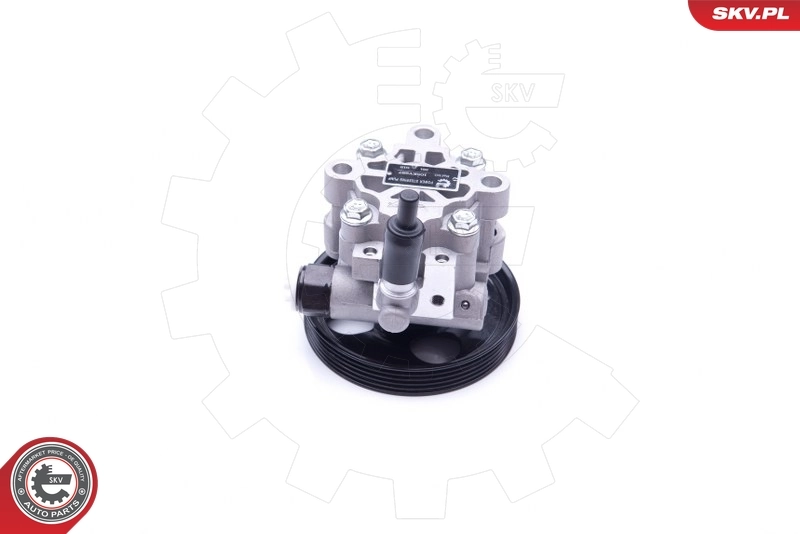 Насос ГУР 10SKV287 SKV