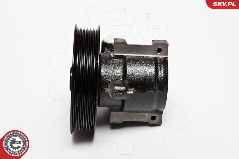 10SKV066 SKV ГУР руля