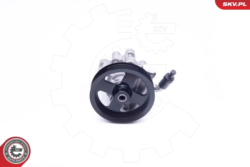 Насос гидроусилителя руля SKV 10SKV284