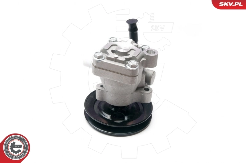 10SKV200 SKV ГУР руля