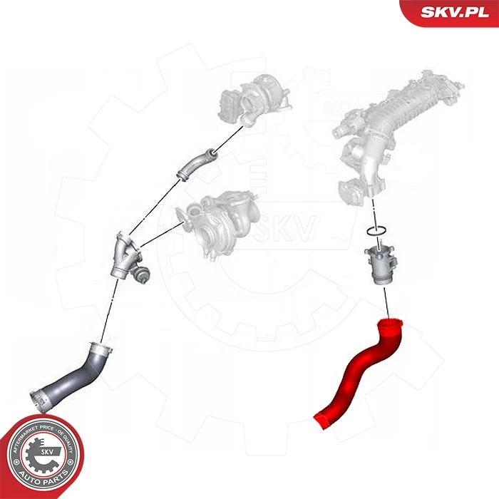 Купить 43SKV427 SKV Патрубок интеркулера