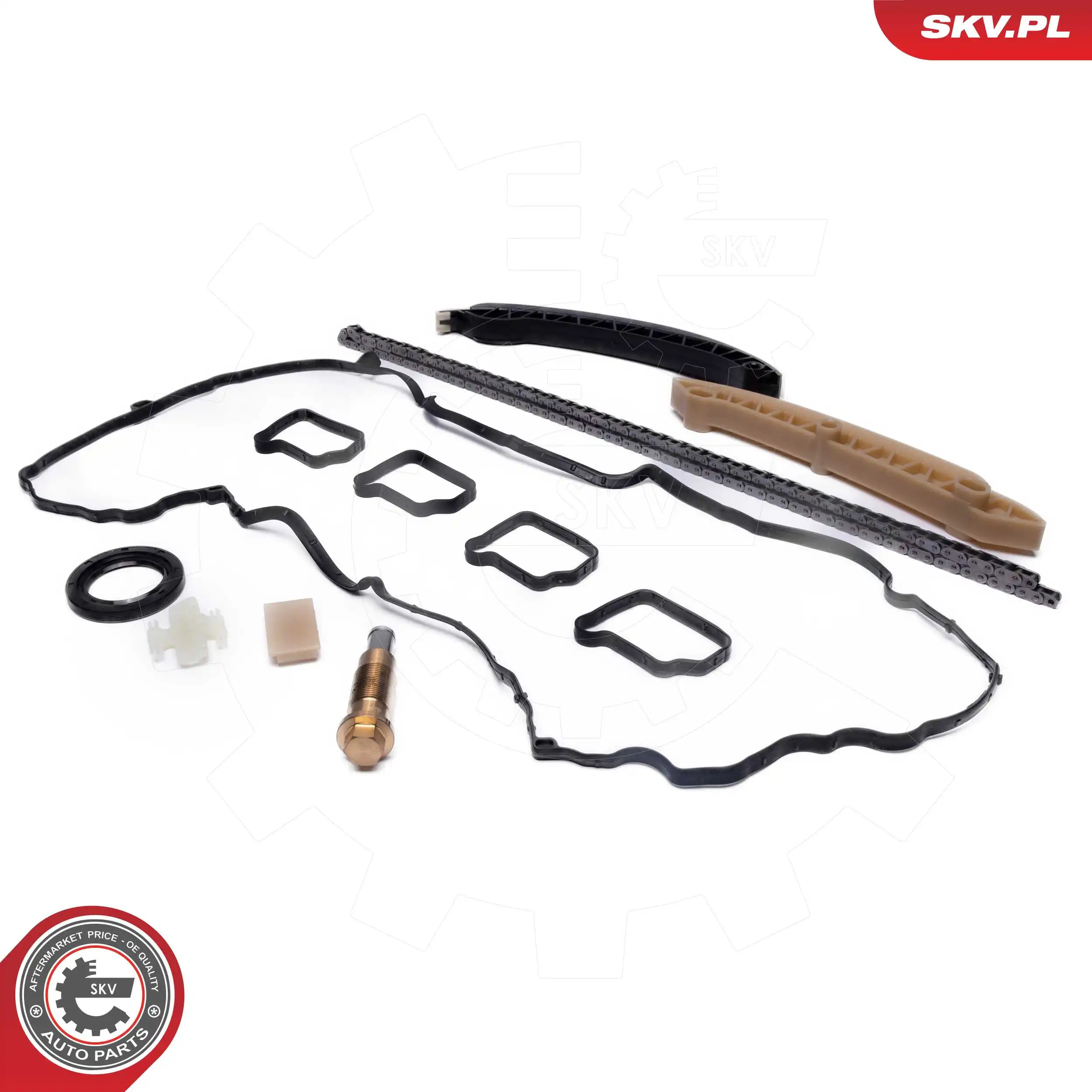 21SKV263 SKV Комплект цепи