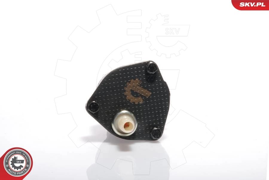 Bomba a vácuo Ford Galaxy WGR