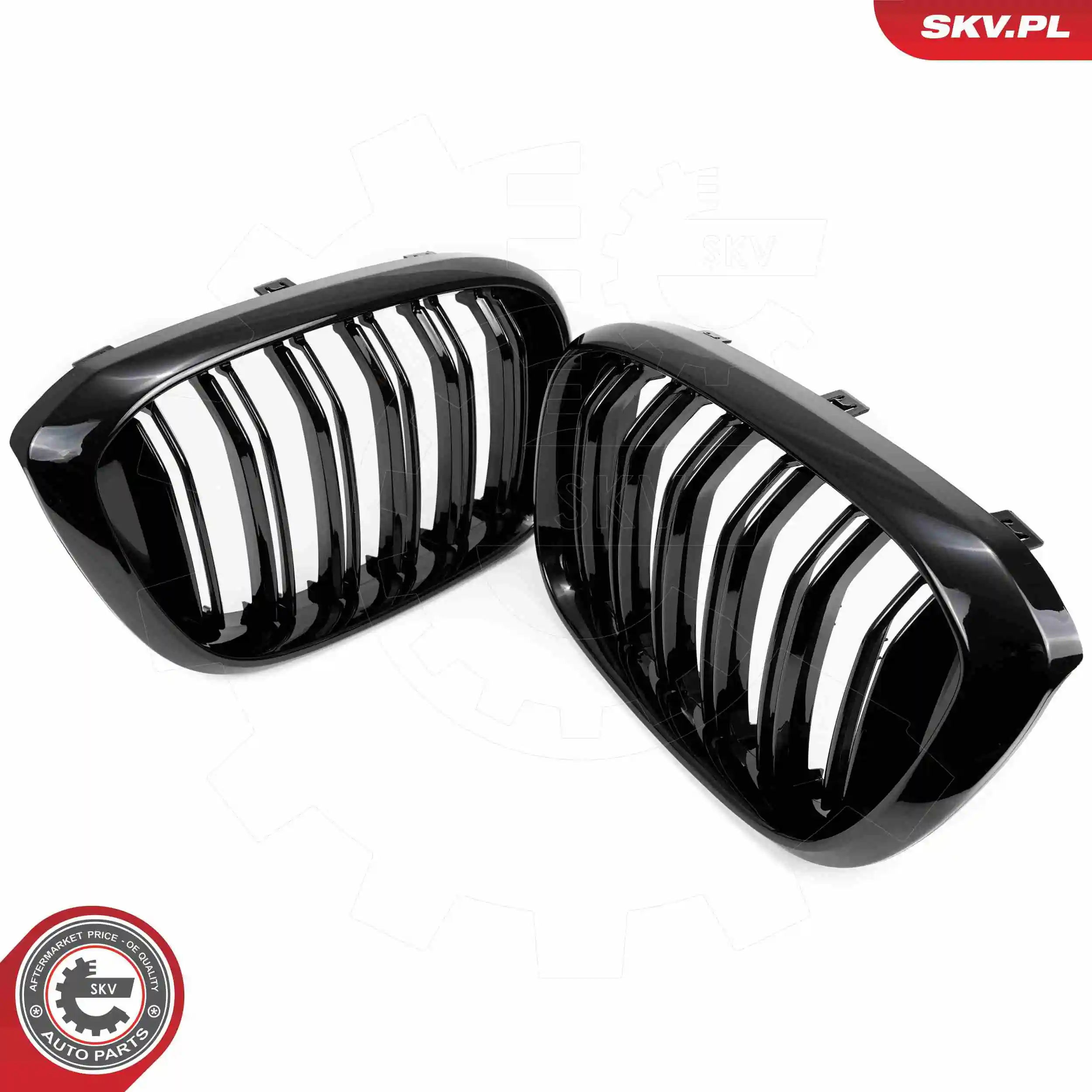 Решетка радиатора левая SKV 66SKV261