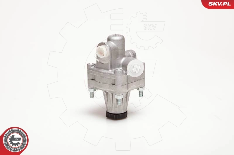 Насос ГУР 10SKV087 SKV