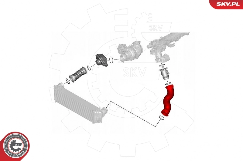 Купить 43SKV407 SKV Патрубок интеркулера