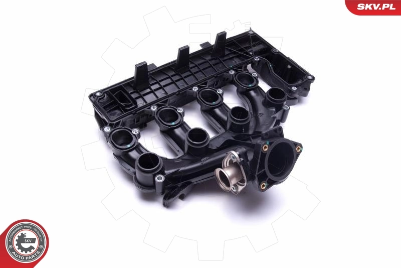 Tampa de válvulas Peugeot 307 3B