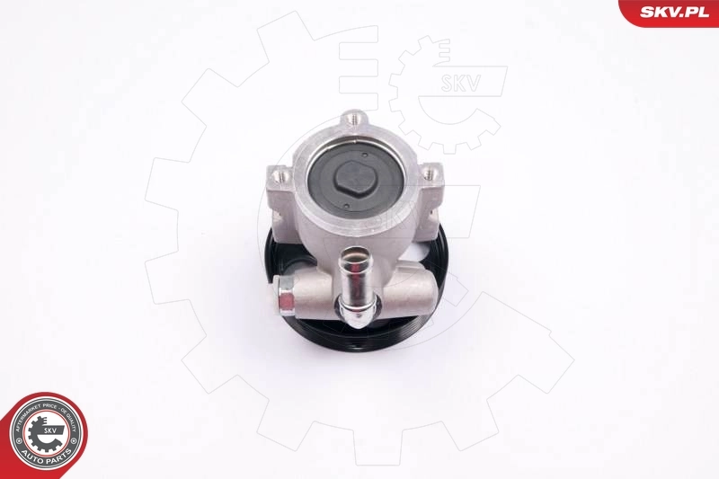10SKV174 SKV ГУР руля