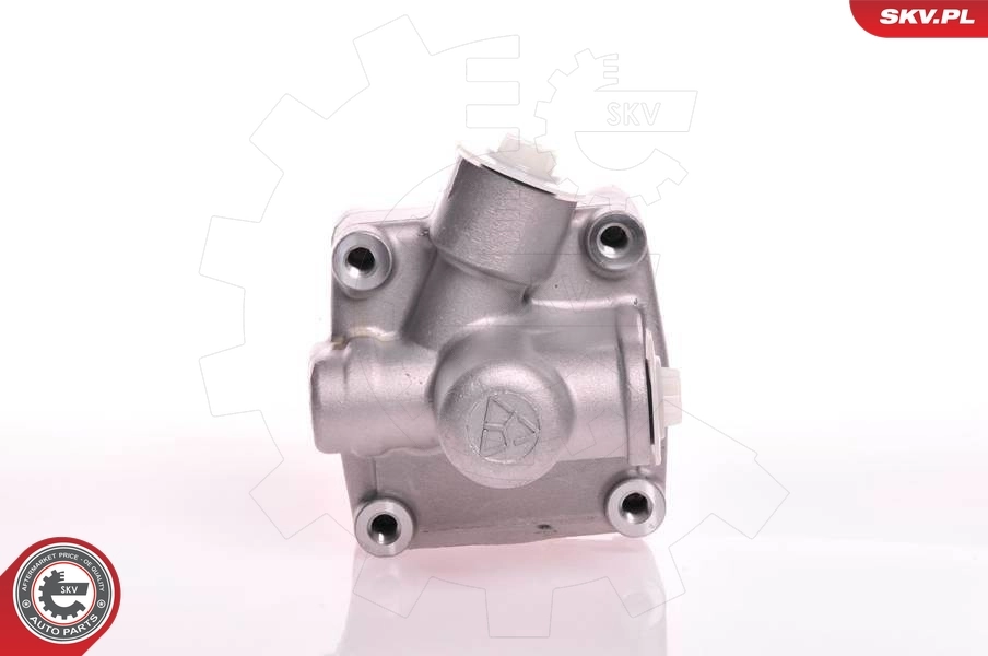 Купить 10SKV125 SKV Насос рулевого управления