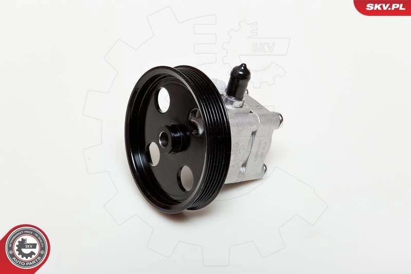 Насос гидроусилителя руля SKV 10SKV177