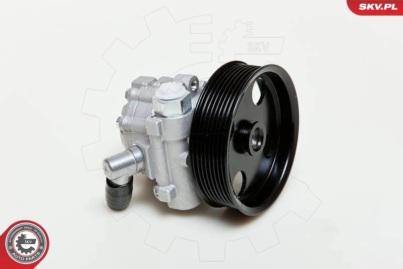 Насос гидроусилителя руля SKV 10SKV039