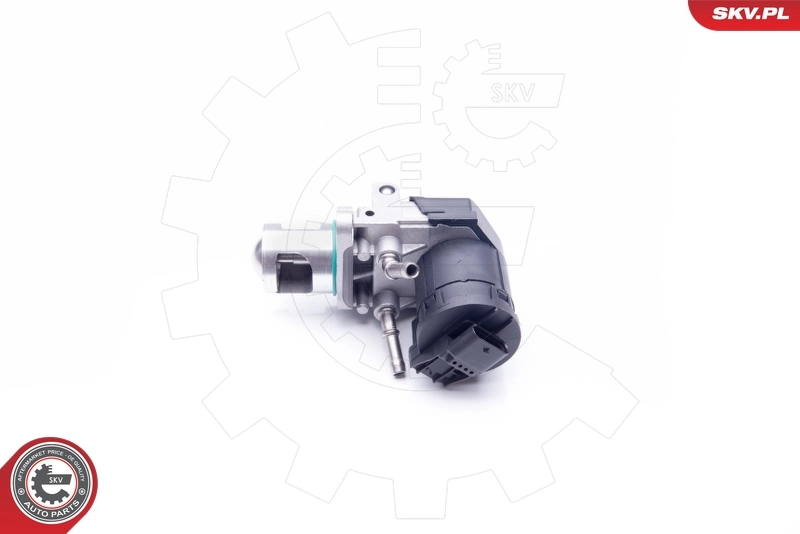 14SKV169 SKV Клапан рециркуляции отработавших газов EGR