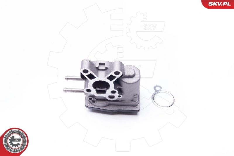14SKV103 SKV Клапан рециркуляции отработавших газов EGR