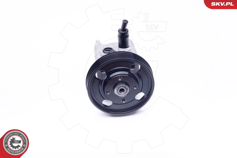 Насос ГУР 10SKV257 SKV