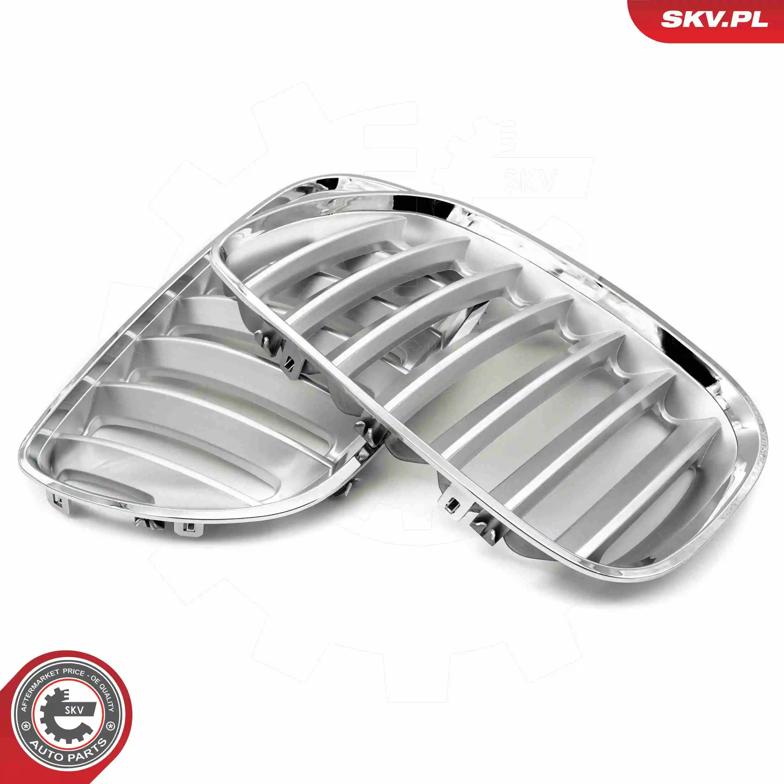  SKV 66SKV279