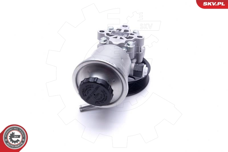 Насос гидравлики SKV 10SKV311 цена, от 92.83 USD