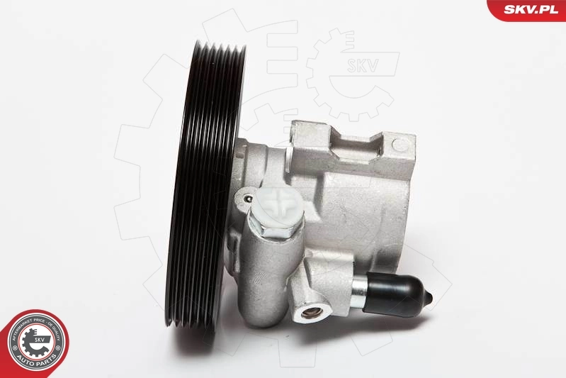 S5065001 Polcar ГУР руля