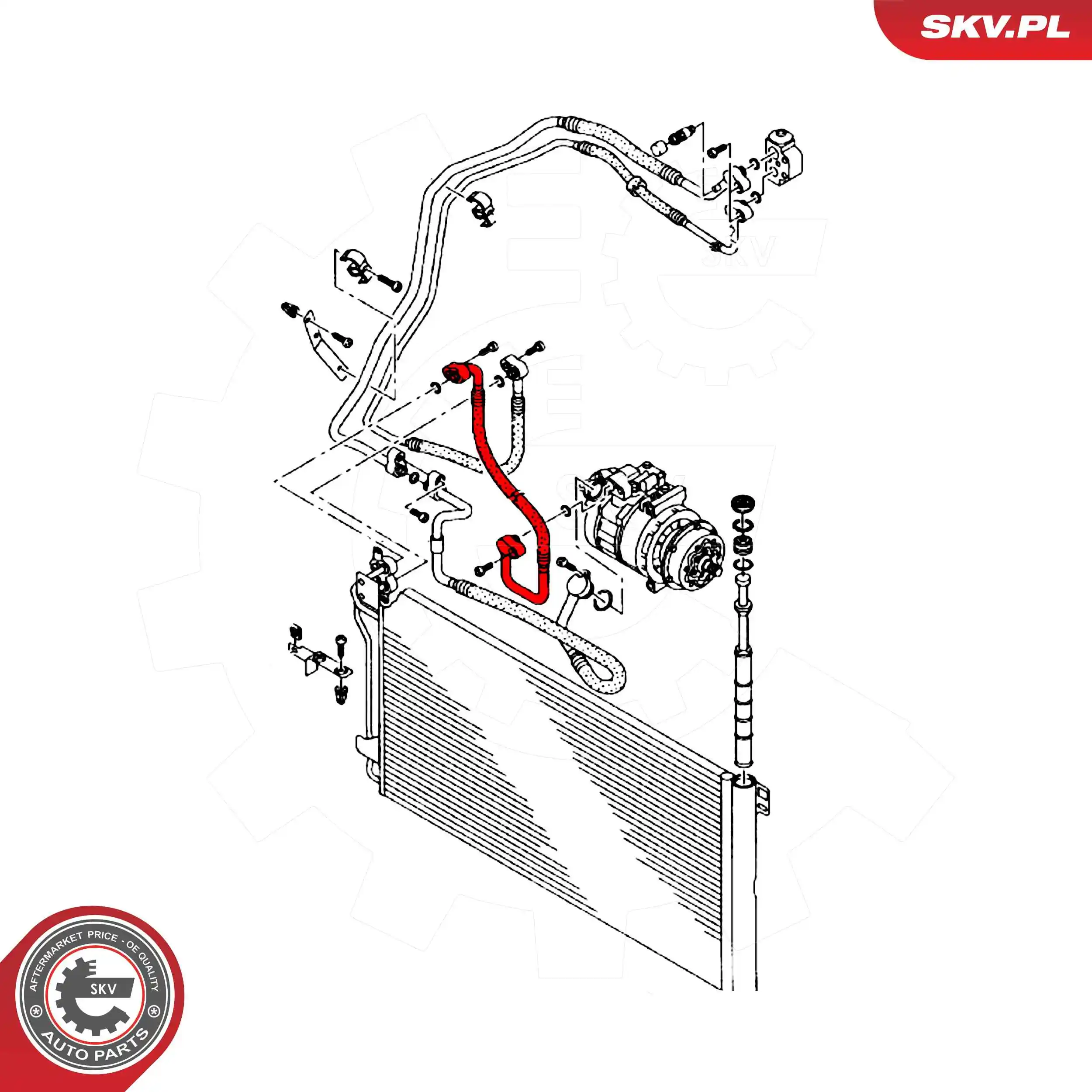 Купить 54SKV724 SKV 
