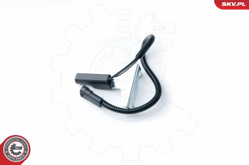 17SKV317 SKV ДПКВ