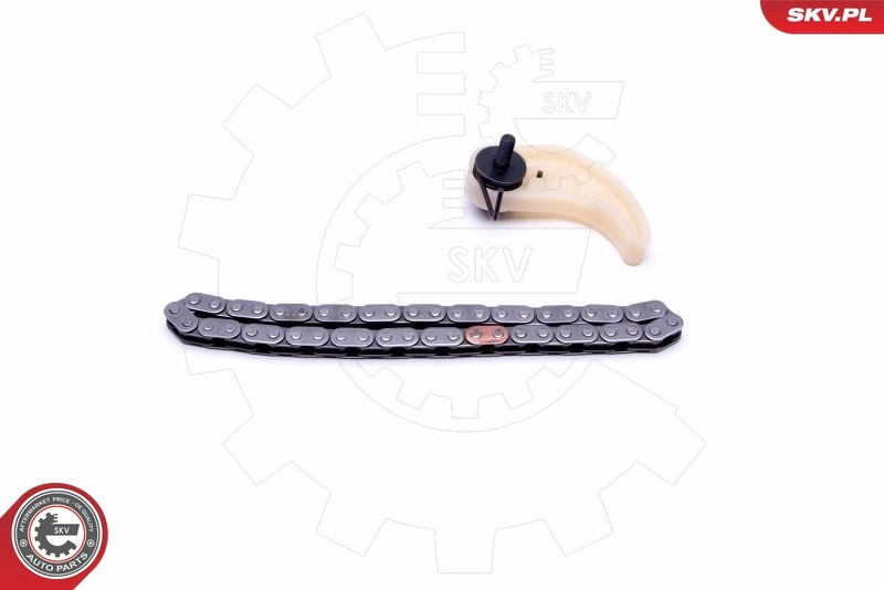 Цепь масляного насоса, комплект Iwis 59832SET цена, от 29.37 USD